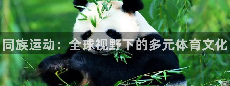 米兰体育官方正版app官网：同族运动：全球视野下的多