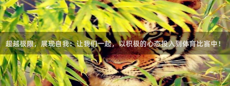 米兰体育官网下载招商电话号码是多少号：超越极限，展现