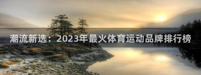 米兰体育官方正版app官方：潮流新选：2023年最火体育运动