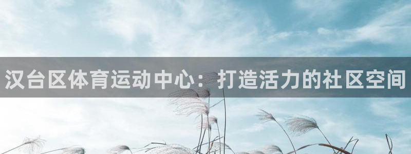 米兰体育官网下载平台APP
