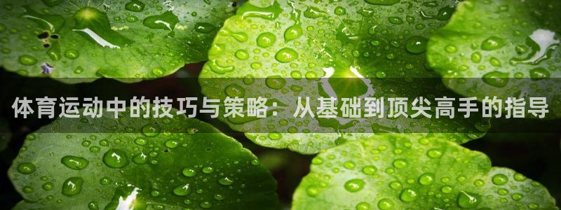 米兰体育官方正版app集团简介：体育运动中的技巧与策略：从基