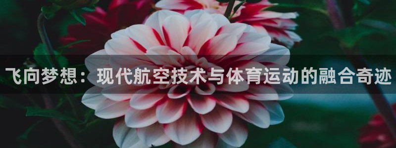 米兰体育官方正版app五金厂