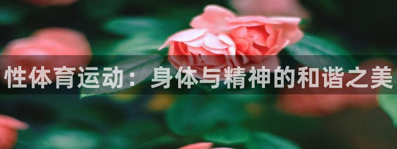 米兰体育官方正版app集团