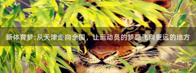 米兰体育官网下载平台注册要钱吗安全吗：新体育梦:从天津走向全