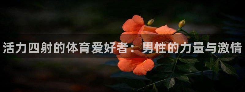 米兰体育官网下载招商电话号码查询是多少：活力四射的体育爱好者