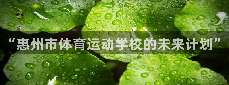 米兰体育官方正版app代理