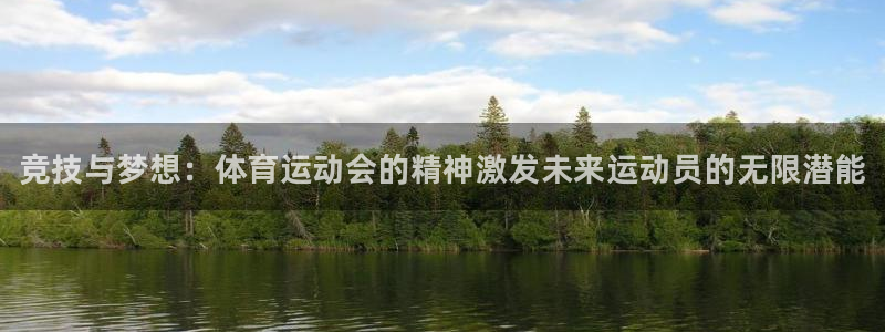 米兰体育官方正版app集团简介：竞技与梦想：体育运动会的精神