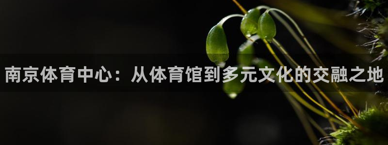 米兰体育官方正版app开户：南京体育中心：从体育馆到