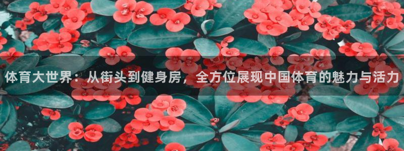 米兰体育官方正版app科技：体育大世界：从街头到健身