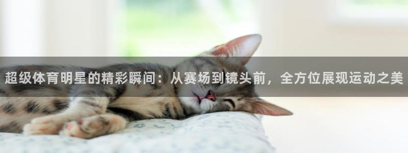 米兰体育官方正版app官网：超级体育明星的精彩瞬间：从赛场到