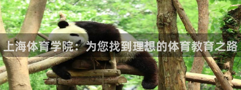 海南米兰体育官网下载：上海体育学院：为您找到理想的体