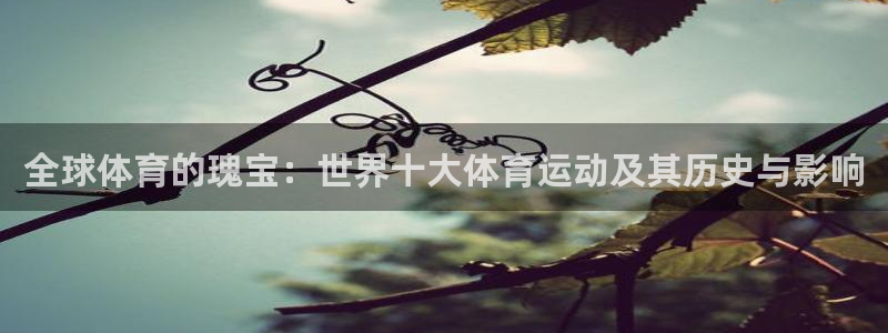 米兰体育官方正版app娱乐网站：全球体育的瑰宝：世界