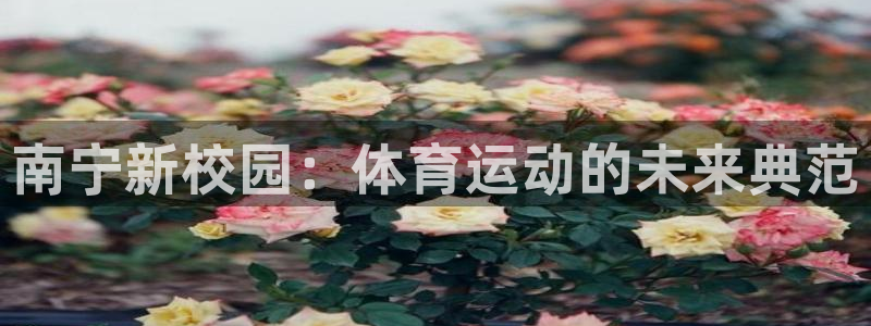 米兰体育官方正版app集团官网首页网址：南宁新校园：