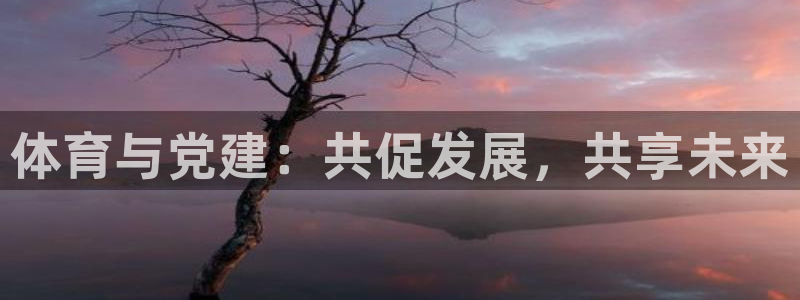 米兰体育官网下载平台注册流程图：体育与党建：共促发展