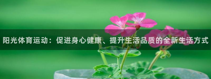米兰体育官网下载平台是正规平台吗安全吗：阳光体育运动