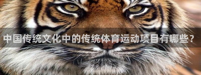 米兰体育官网下载招商电话地址是多少