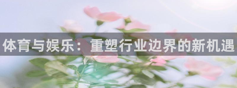 米兰体育官网下载平台注册要钱吗安全吗：体育与娱乐：重