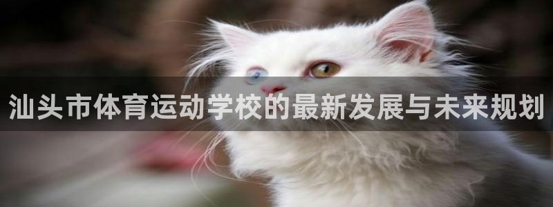 米兰体育官网下载招商电话地址：汕头市体育运动学校的最新发展与