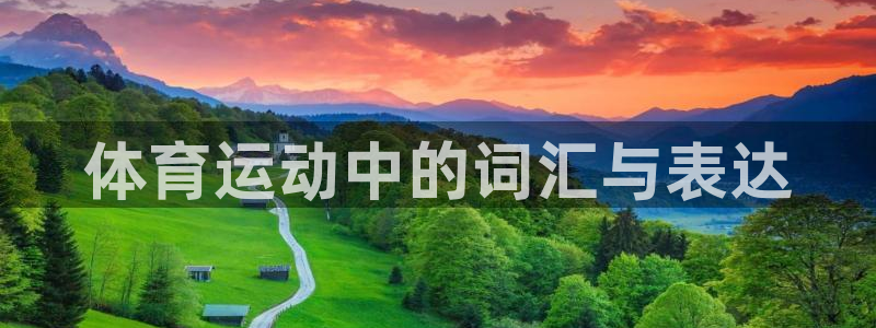 米兰体育官网下载平台注册：体育运动中的词汇与表达