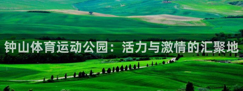 米兰体育官方正版app娱乐是那个系列的台子：钟山体育运动公园