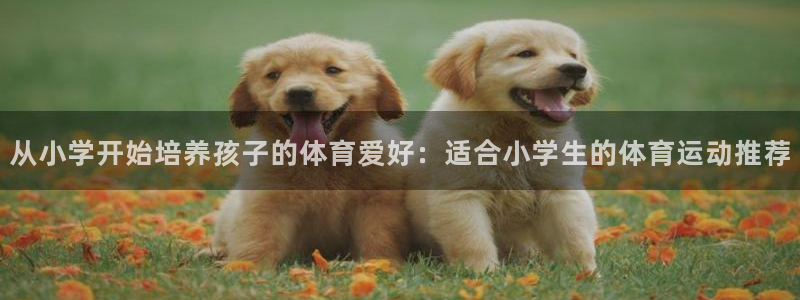 米兰体育官网下载招商电话是多少