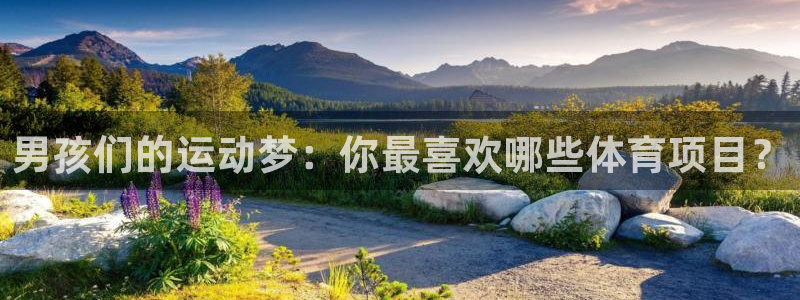 米兰体育官网下载平台注册