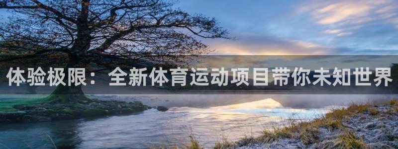 米兰体育官方正版app娱乐首页网站大全：体验极限：全新体育运